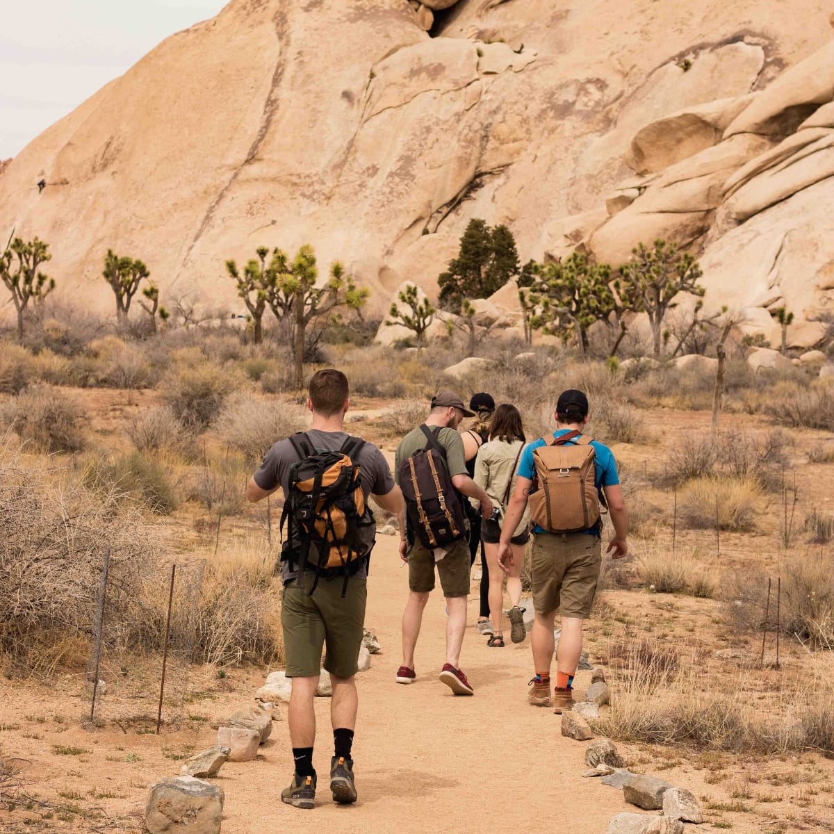 Success usually comes to those who are too busy to be looking for it